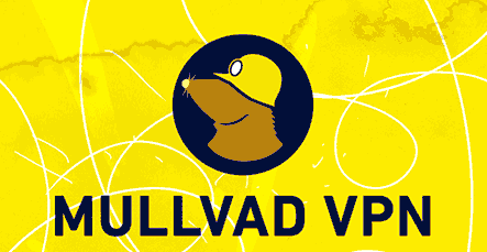 Best VPN Services for Privacy 2025 2026 .