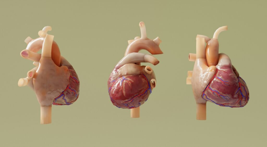 When to See a Cardiologist
