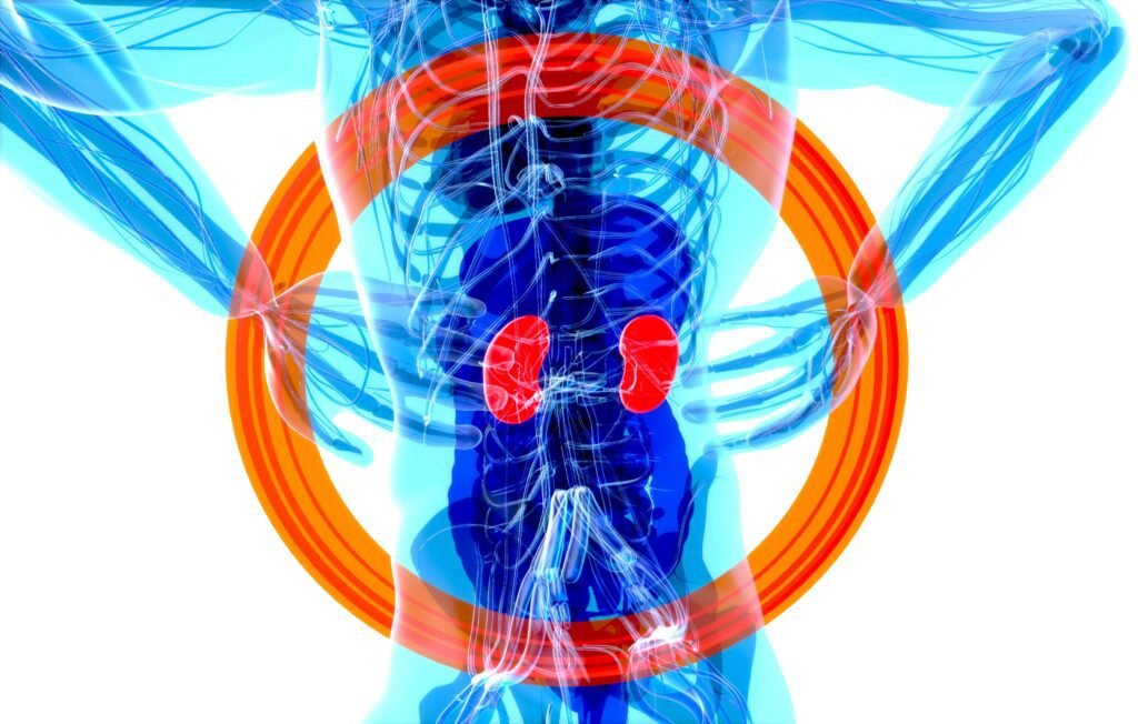 Back Pain: Exercises, Back Pain: Exercises,